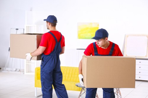 Moving home planning in Richmond upon Thames with boxes and organised packing